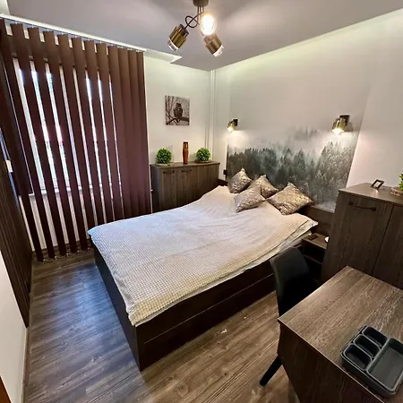 Apartament U Jakuba W Krynicy Zdroj Krynica Zdroj Exterior photo